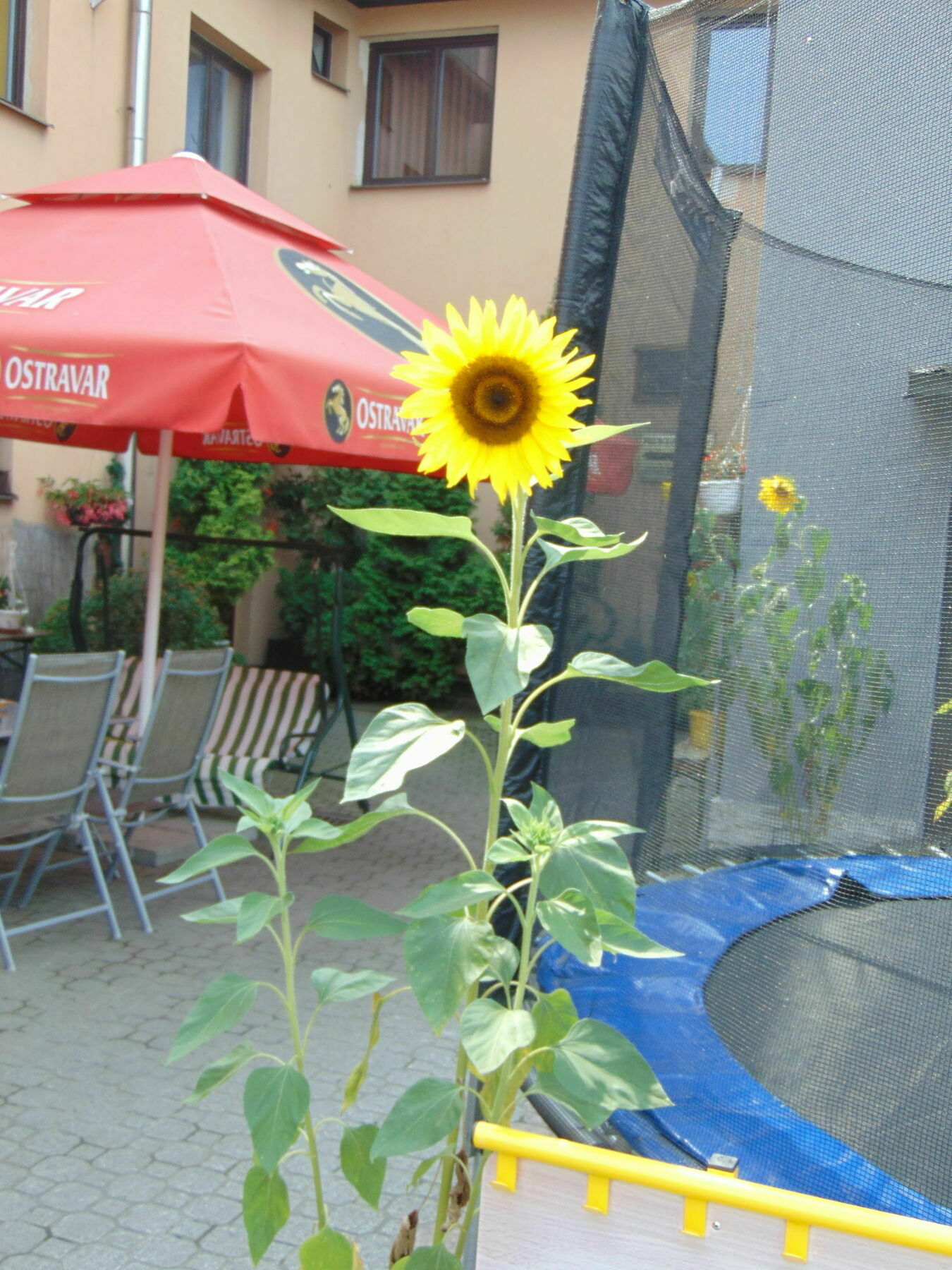 Hotel Isora Ostrava Esterno foto